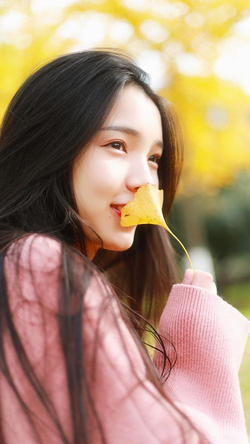 下载安装包步骤